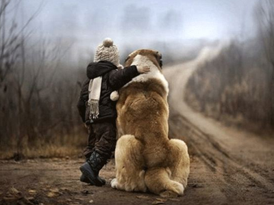 Παιδί και ζώα: Μια ιδιαίτερη σχέση